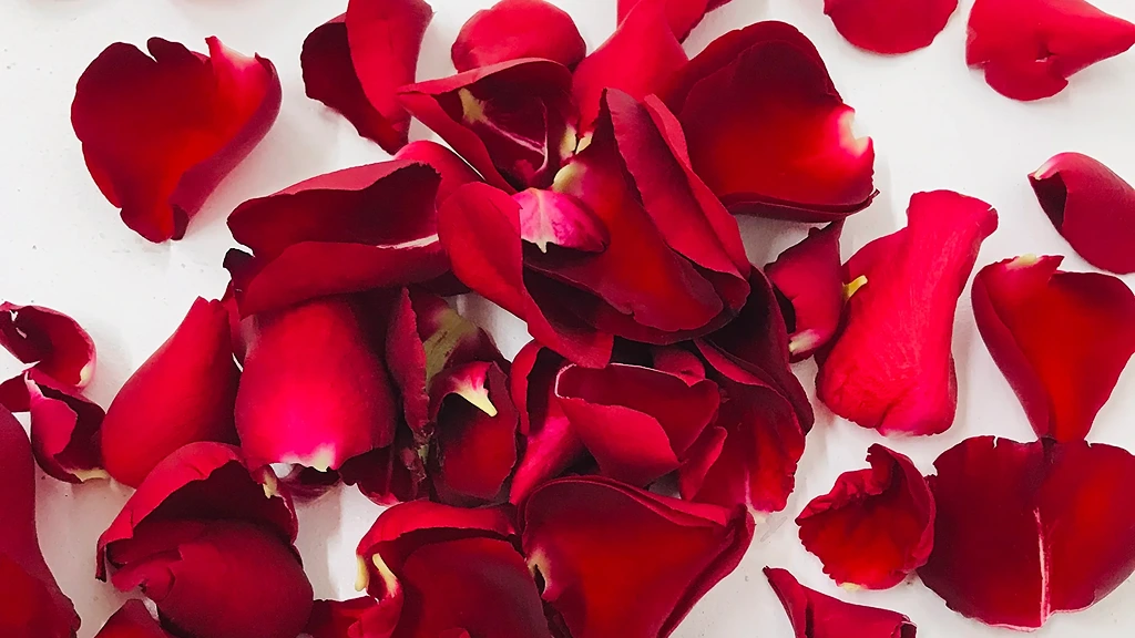 rose-petals-edible-flower