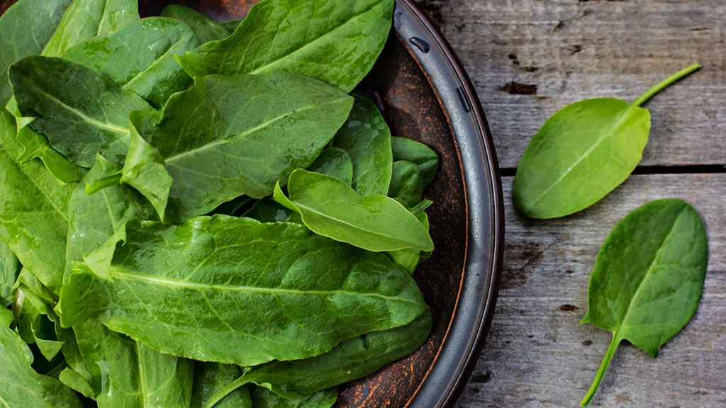 sorrel-leaves-edible