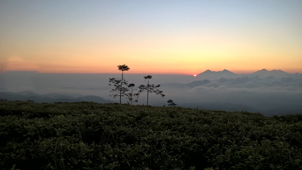15 Best Natural Places to Visit in Sukabumi Mount Halimun Salak National Park