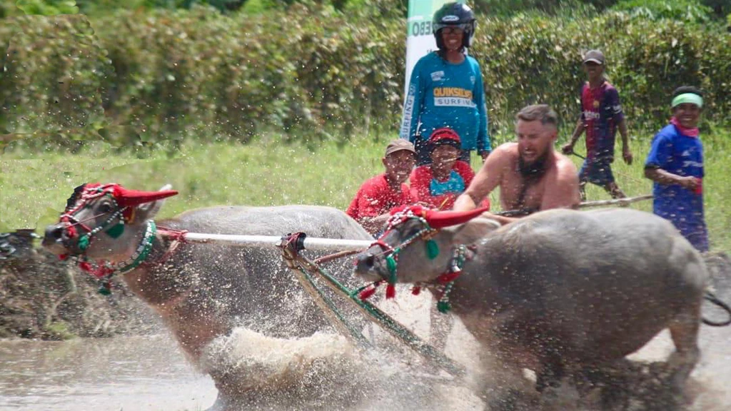 Celebrating Idul Adha across Indonesia Moyo Festival in East Nusa Tenggara