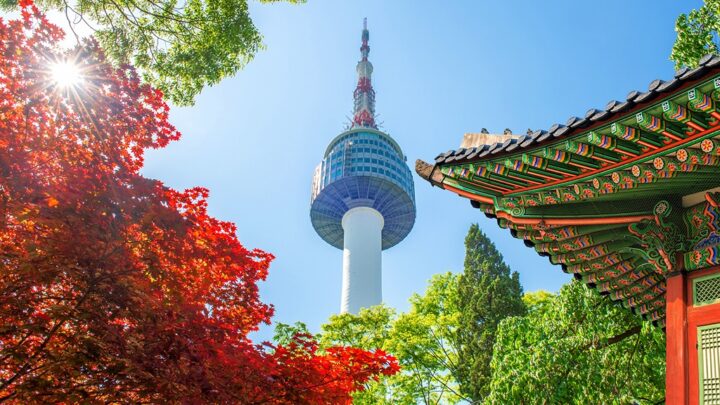 Top 11 Countries with Best Education System in the World South Korea