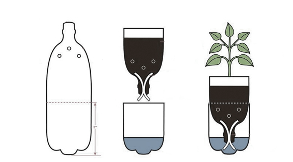 self watering plastic bottle planter