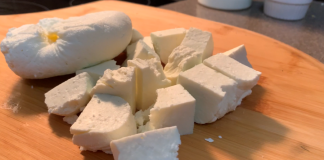 home made paneer