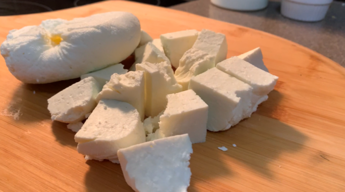 home made paneer