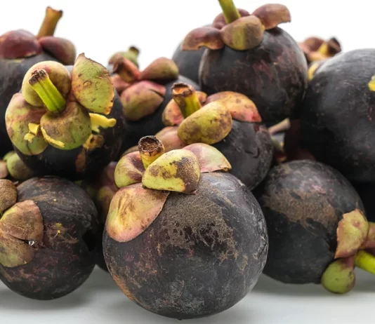 Mangosteen Peel Tea Recipe that Heals