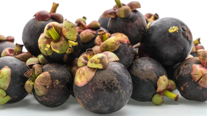 Mangosteen Peel Tea Recipe that Heals