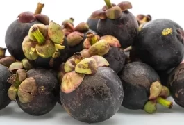 Mangosteen Peel Tea Recipe that Heals