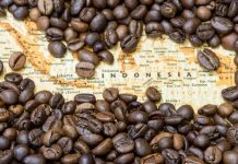 The Rich and Diverse World of Indonesian Coffee