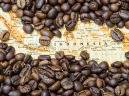 The Rich and Diverse World of Indonesian Coffee
