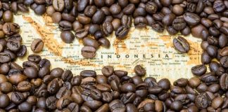 The Rich and Diverse World of Indonesian Coffee