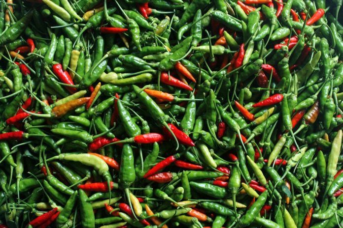 Cabe Rawit, Indonesia's favorite chili pepper