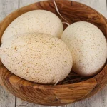 turkey-eggs