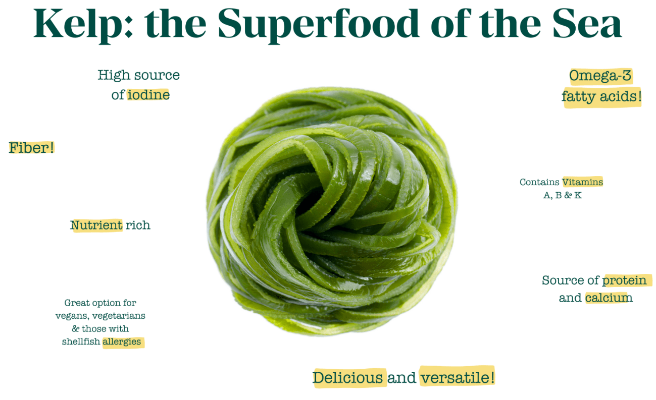 Kelp superfood from the sea