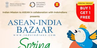 Buy 1 Get 1 - Early Bird Tickets to Indoindians Spring Bazaar 18 February 2024