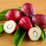 Unraveling the Mysteries of Simalakama Fruit: A Double-Edged Sword of Nature