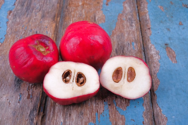 Simalakama Fruit