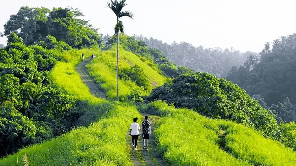 10 Destinations for a Long Weekend in Bali Campuhan Hill