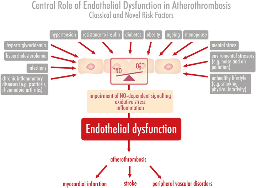 Cardiovascular Risk Factors