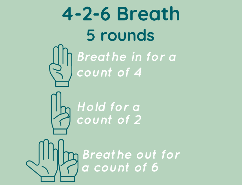 4-2-6 breath promotes optimal heart rate
