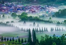 Misty Morning at Dieng Plateau