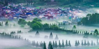 Misty Morning at Dieng Plateau