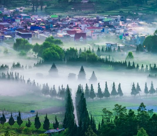 Misty Morning at Dieng Plateau