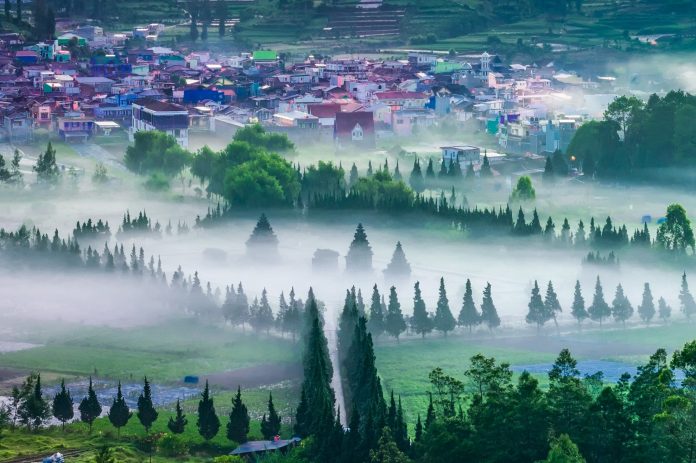 Misty Morning at Dieng Plateau
