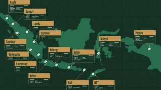 the-rich-and-diverse-world-of-indonesian-coffee