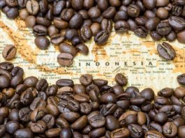 Kopi in Indonesia