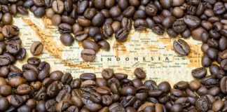 Kopi in Indonesia