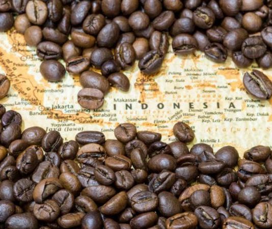 Kopi in Indonesia