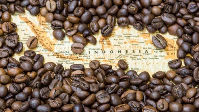 Kopi in Indonesia