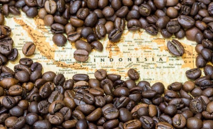 Kopi in Indonesia