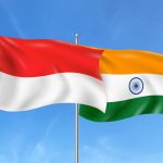 Indoindians Weekly Newsletter: Celebrating Freedom