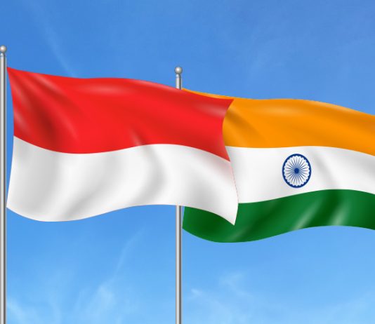 Indoindians Weekly Newsletter: Celebrating Freedom