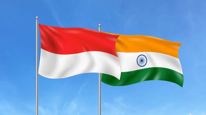 Indoindians Weekly Newsletter: Celebrating Freedom