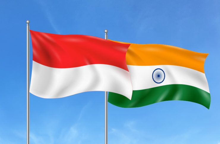 Indoindians Weekly Newsletter: Celebrating Freedom