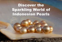 Discover the Sparkling World of Indonesian Pearls Discover the Sparkling World of Indonesian Pearls Update.webp
