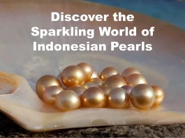 Discover the Sparkling World of Indonesian Pearls Update.webp