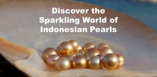 Discover the Sparkling World of Indonesian Pearls Update.webp