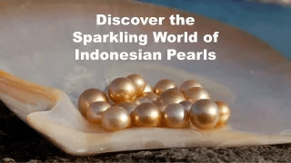 discover-the-sparkling-world-of-indonesian-pearls