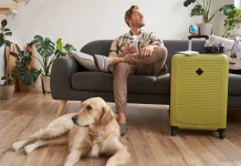 Relocating to Indonesia with Pets Relocating to Indonesia with Pets - A Complete Guide