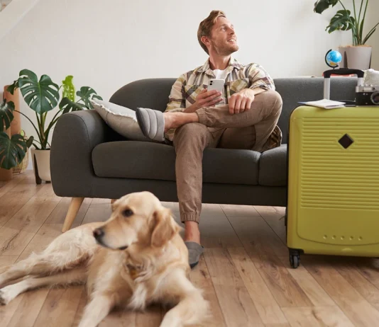 Relocating to Indonesia with Pets Relocating to Indonesia with Pets - A Complete Guide