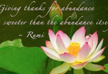 The Spirit of Thanksgiving Across Cultures