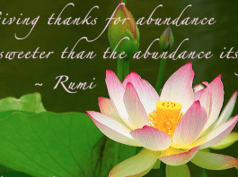 The Spirit of Thanksgiving Across Cultures