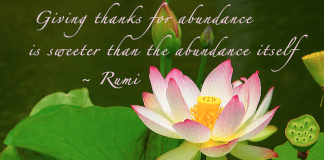 The Spirit of Thanksgiving Across Cultures