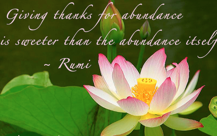 The Spirit of Thanksgiving Across Cultures