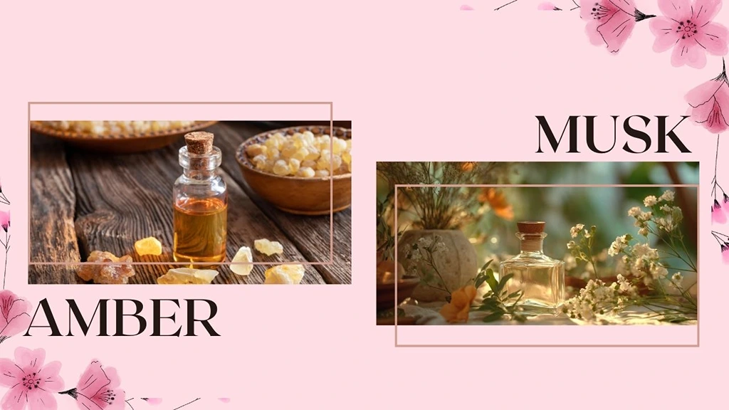 Amber and Musk Fragrance