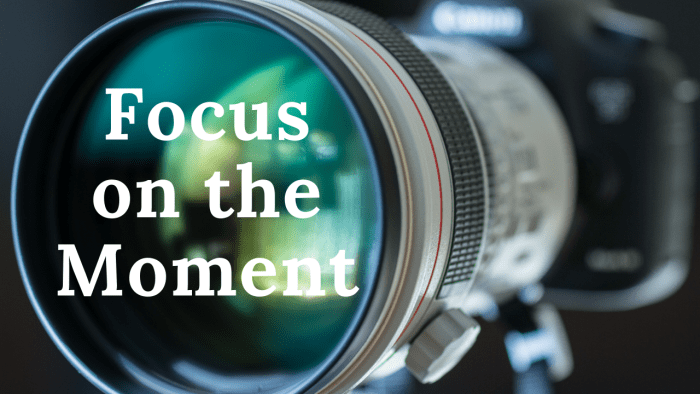 Focus-on-the-Moment