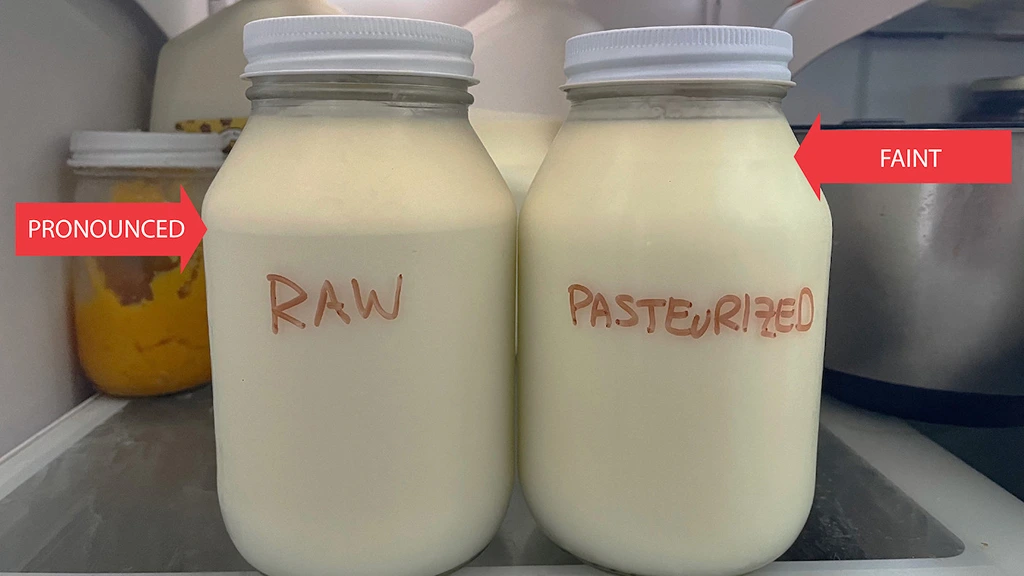 raw and pasteurized milk